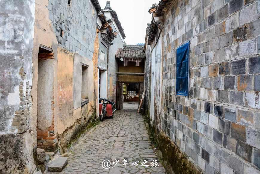 拯救穆尔小马